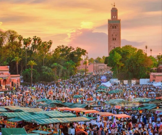 Imago Private Tours Rectangle 22